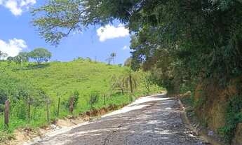 Imagem 5: Sítio 12.000m2, Casa Estruturada, Santa Terezinha de Minas - Itatiauçu, Troco por Casa em