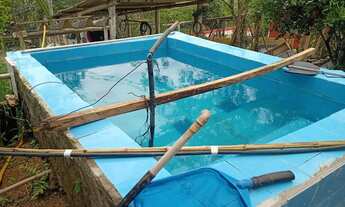 Imagem 3: Chacara com riacho precisando de dono 130mil reais