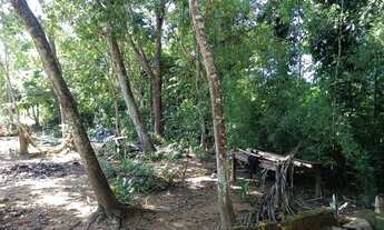 Imagem 4: Sitio de 7.5 hectares na região da Fartura na serra de São Vicente, Cuiabá M