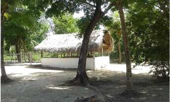 Imagem 3: Sitio em Povoado Shalom em Caxias - MA - Sentido Caxias/Timon a 30 km de Caxias