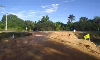 Imagem 3: Loteamento na Praia de Antunes em Maragogi-AL