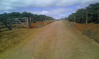 Imagem 6: Boa pra café Fazenda / sítio com venda por R$5.000.000