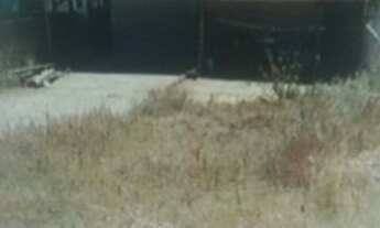 Imagem 4: CONTAGEM - Casa Padrão - Novo Progresso