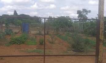 Imagem 5: Novo Gama (Vale do Sabiá) chácara 6.000m² com casa e pomar R$ 145.000