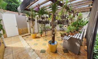 Imagem 4: Ribeirão Preto - Casa Padrão - Ribeirânia