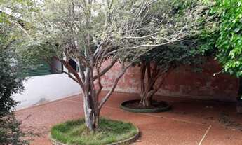 Imagem 4: Casa comercial com ampla área externa