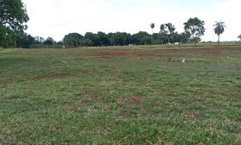 Imagem 2: Chácara de 18 hectares. com Córrego. 28 km de Campo Grande