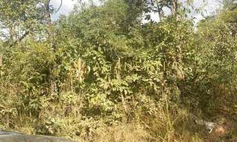 Imagem 4: Lote a venda Bairro: Vale Quinta das Braúnas Juatuba