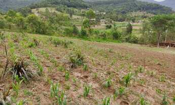 Imagem 2: Sítio em Araricá 6.7 hectares, plantio e pecuária
