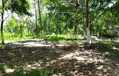 Imagem 4: TERRENO EM IMBASSAÍ