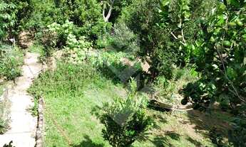 Imagem 7: Lote/Terreno para venda tem 980 metros quadrados em Cônego - Nova Friburgo - RJ