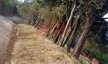 Imagem 4: TERRENOS NA CIDADE DE CARDEAL SP