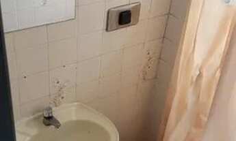 Imagem 5: Ótimo apartamento 03 quartos - Valqueire