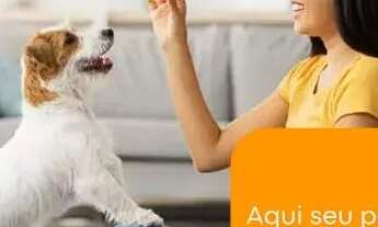 Imagem: Procurando praticidade, facilidade pra alugar