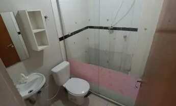 Imagem 4: Kit 601 samambaia norte