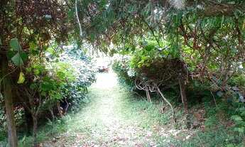 Imagem 7: Chácara 52 Hectares, valor 396,900,00 cada e galpão