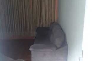 Imagem 4: CASA TÉRREA - IPIRANGA - SP