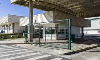 Imagem 4: Comercial Galpão em Guarulhos