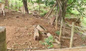 Imagem 7: SÍTIO PRÓXIMO RESORT FAISÃO