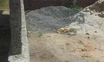 Imagem 6: Terreno pra vender