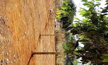 Imagem 4: Área em hidrolandia BR 153