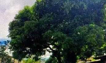 Imagem 3: Casa Terreno City Ribeirão