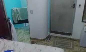 Imagem 4: Casa para venda possui 40 metros quadrados com 1 quarto