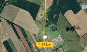 Imagem 6: Sítio às margens da BR-376 - Nova Esperança / Presidente Castelo Branco - 27km de Maringá