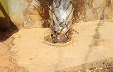 Imagem 15: Vendo ou troco essa casa