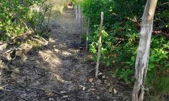 Imagem 6: PANAQUATIRA: Área de 5 hectares a venda a cerca de 800m da beira da praia Ilha de São Luí
