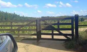 Imagem 3: VENDO CHACARA Chácara com venda por R$380.000