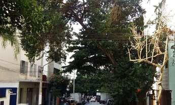 Imagem 2: Apartamento/Kitnet Santa Cecília