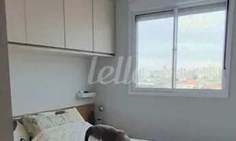 Imagem 7: São Paulo - Apartamento Padrão - Brás