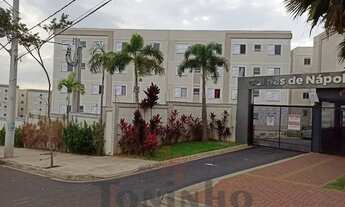 Imagem 5: Apartamento 2 Dormitórios para locação em Campinas - S