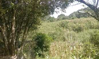 Imagem 5: Chácara em Mandirituba 170 mil reais