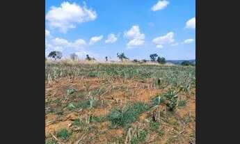 Imagem 5: Chácara em Bela vista meio alqueire, Go. 0.20 50km de Goiânia 200.000