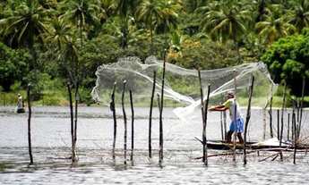Imagem 6: Terrenos em Santa Rita e Barra Nova Mal Deodoro