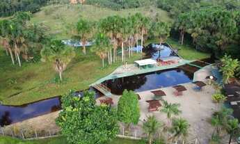 Imagem 3: Oportunidade Única! Chácara / Sítio / Balneário à Venda na BR-174 - Km 30