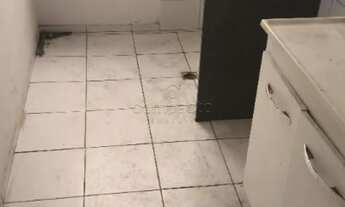 Imagem 4: Apartamento Padrão em São José do Rio Preto