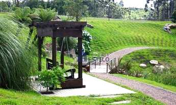 Imagem 5: Terreno à venda, 740 m² por R$ 665.000 - Pedancino - Caxias do Sul/RS