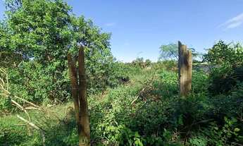 Imagem 7: Terreno à venda em Maria Joaquina