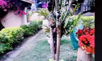 Imagem 7: Chácara com 1074m2, 2 dorm, 2 vg em Santa Helena - São José dos Campos - SP