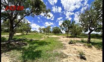 Imagem 2: Vendo linda e excelente Fazenda!