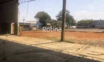 Imagem 6: Área para alugar, Minas Gerais - Uberlândia/MG - Rotina Imobiliária
