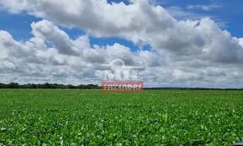 Imagem 7: Fazenda 113 alqueires (547 hectares ) Acreuna - go