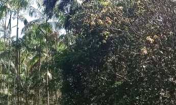 Imagem 4: Sítio no Ramal do Piauí