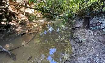 Imagem 4: Fazenda 29 alqueires São miguel passa 4 e vianopolis