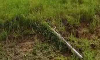 Imagem 7: Terreno 8X20 /40.000 Bairro Valle Verde