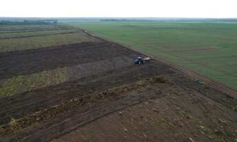 Imagem 4: Fazenda 1.192alqueires no TO. Aceita diamantes no pagamento 3 mil hect planta hoje