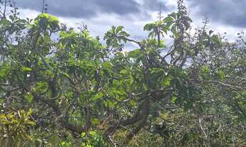 Imagem 2: Lotes de 30.000m² em Três Marias com entrada a partir de 15 mil